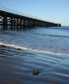 Jetty Beach - Mackay Tourism 0