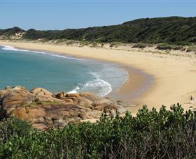 Cape Conran Nature Trail - Mackay Tourism 1