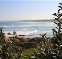 Cape Conran Nature Trail - Mackay Tourism