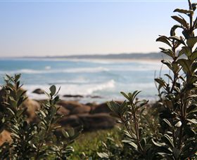 Cape Conran Nature Trail - Mackay Tourism 0