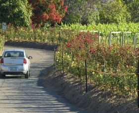 Cassegrain Wines - Mackay Tourism 0