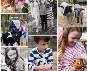 Roses Vineyard And Animal Farm - Mackay Tourism 1