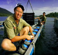 Armstrong Oysters - Mackay Tourism