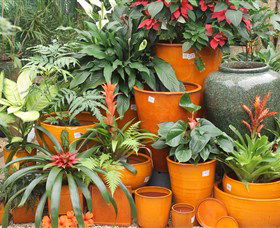 Diamond Waters Garden Nursery - Mackay Tourism 1