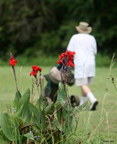 Teven Valley Golf Course - Mackay Tourism 3