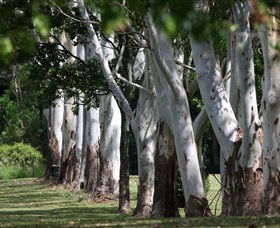 Teven Valley Golf Course - Mackay Tourism 1