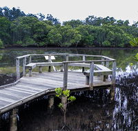 Walk on Water walking track - Mackay Tourism