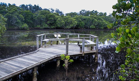 Walk On Water Walking Track - Mackay Tourism 0