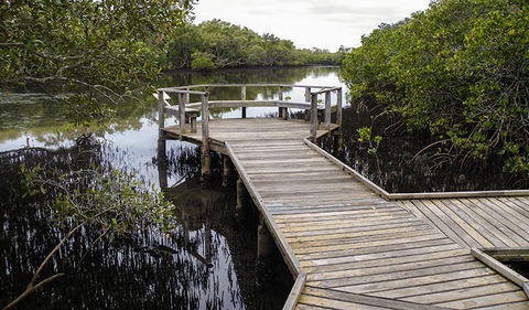 Walk On Water Walking Track - Mackay Tourism 1