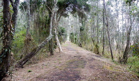 Walk On Water Walking Track - Mackay Tourism 2