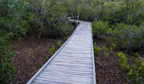 Walk On Water Walking Track - Mackay Tourism 3