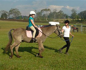 Port Macquarie Horse Riding Centre - Mackay Tourism 0