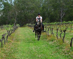Port Macquarie Horse Riding Centre - Mackay Tourism 1