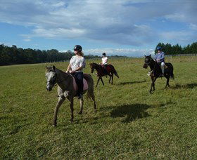 Port Macquarie Horse Riding Centre - Mackay Tourism 5