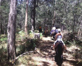 Port Macquarie Horse Riding Centre - Mackay Tourism 4