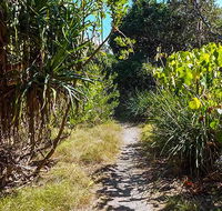 North Head walking track - Mackay Tourism