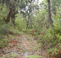 Kinchela Trig Lookout walk - Mackay Tourism