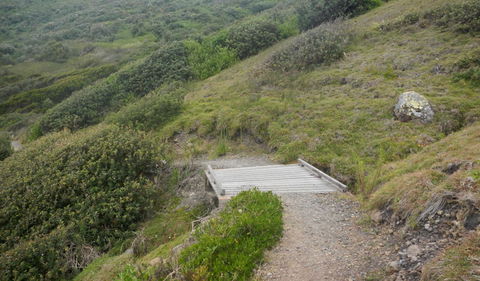 Connors Walking Track - Mackay Tourism 2