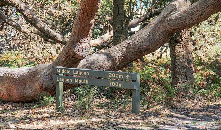 Frogs Hollow NSW Mackay Tourism