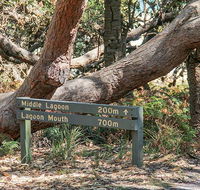 Middle Lagoon walking track - Mackay Tourism