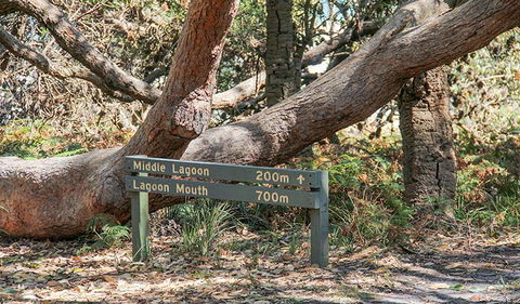 Middle Lagoon Walking Track - Mackay Tourism 0