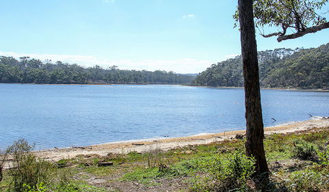 Middle Lagoon Walking Track - Mackay Tourism 1