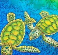 Sea Silks Gallery - Mackay Tourism
