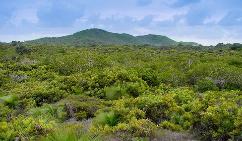 Arakwal National Park - Mackay Tourism 1
