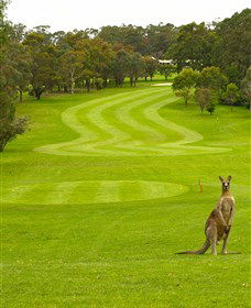 Pambula Merimbula Golf Club - Mackay Tourism 2
