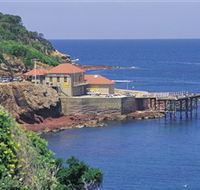 Merimbula Aquarium - Mackay Tourism