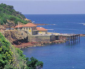 Merimbula Aquarium - Mackay Tourism 0