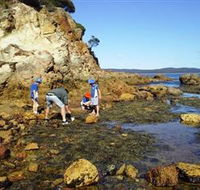 Sapphire Coast Marine Discovery Centre - Mackay Tourism