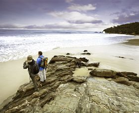 Wilderness Coast Walk - Mackay Tourism 0