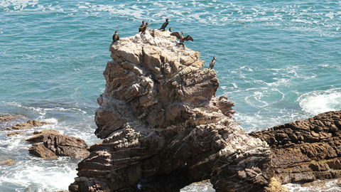 Ben Boyd National Park - Mackay Tourism 2