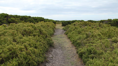 Ben Boyd National Park - Mackay Tourism 3