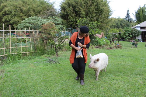 Djanbung Permaculture Gardens - Mackay Tourism 7
