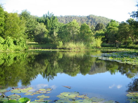 Djanbung Permaculture Gardens - Mackay Tourism 10