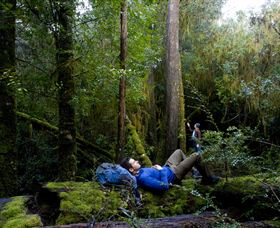 Roger River TAS Mackay Tourism