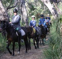 Mirravale Horse Riding School - Mackay Tourism