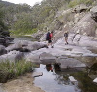Nadgee Wilderness Walk - Mackay Tourism