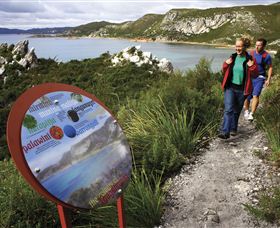 Rocky Cape National Park - Mackay Tourism 0