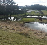Guide Falls Farm - Mackay Tourism