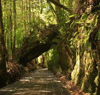 Philosopher Falls - Mackay Tourism