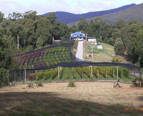 North Motton TAS Mackay Tourism