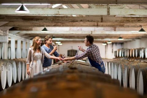 Seppeltsfield Winery Tours - Mackay Tourism 7