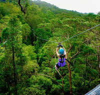 Canyon Flyer - Mackay Tourism