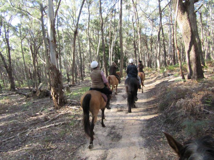Spring Hill VIC Mackay Tourism