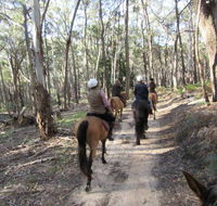Silver Brumby Trails - Mackay Tourism