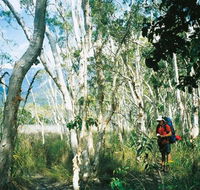 Thorsborne Trail Hinchinbrook Island National Park - Mackay Tourism