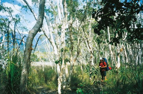 Thorsborne Trail, Hinchinbrook Island National Park - Mackay Tourism 0